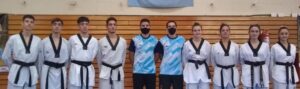 Taekwondo WT