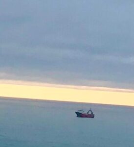barco amarillos