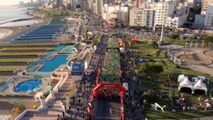 Carrera Open sport